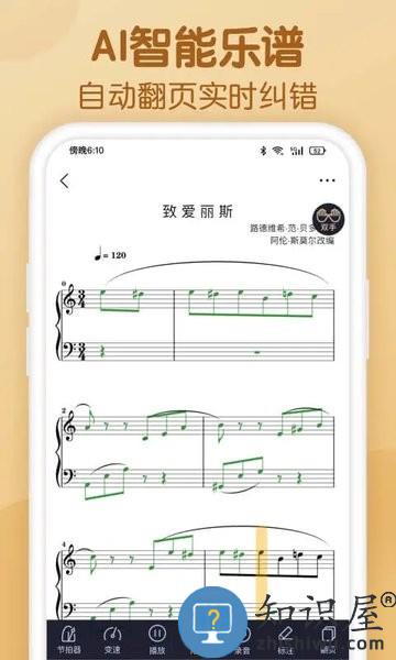 懂音律最新版本 V3.3.8 安卓版