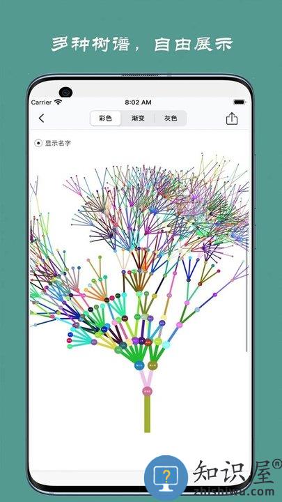 族记家谱软件下载