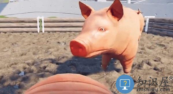 小猪模拟器中文版下载v1.1.5 安卓正版