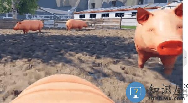 小猪模拟器中文版下载v1.1.5 安卓正版