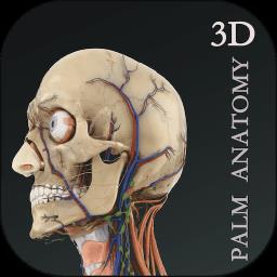 掌上3D解剖手机版 v2.6.3 安卓版