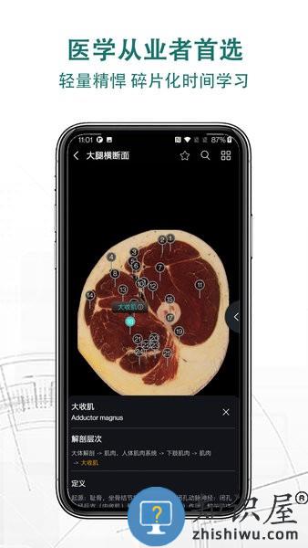 掌上3D解剖手机版 v2.6.3 安卓版