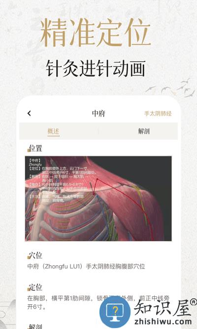 中济经络穴位app免费版下载v2.11.1 安卓版