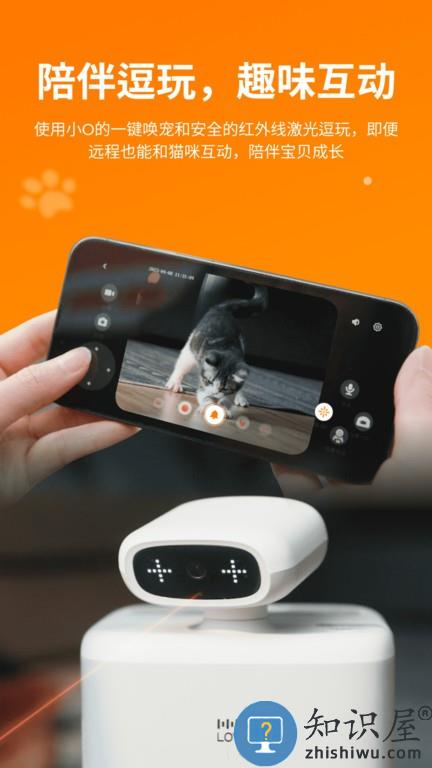 小o猫管家hholove v2.1.7 安卓版