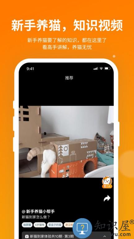 小o猫管家hholove v2.1.7 安卓版