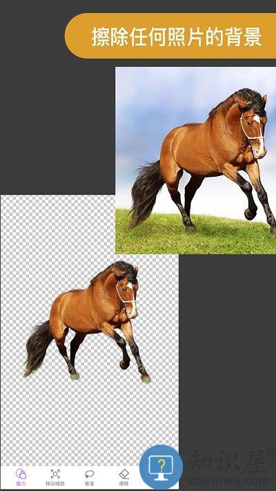 proknockout智能抠图p图app下载