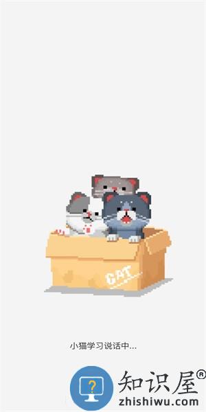 干词英语app v1.5.8 安卓版