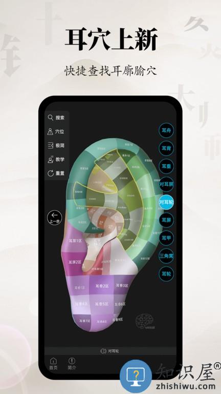 针灸大师 v3.2.1 安卓版