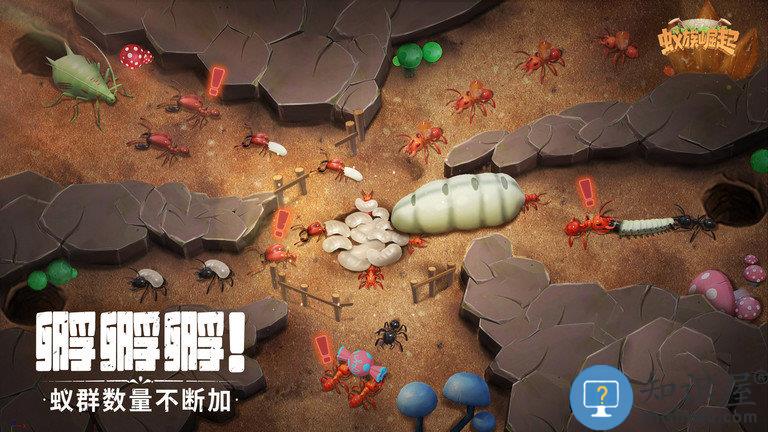 蚁族崛起九游版下载v1.336.0 安卓版