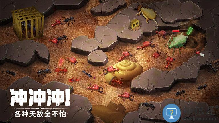 蚁族崛起九游版下载v1.336.0 安卓版
