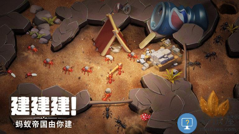 蚁族崛起九游版下载v1.336.0 安卓版