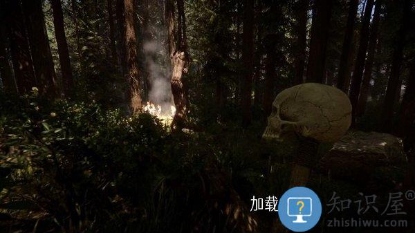 真实荒野生存最新版下载v1.00 安卓版