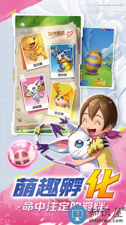 球球英雄草花手游下载v1.5.8 安卓版