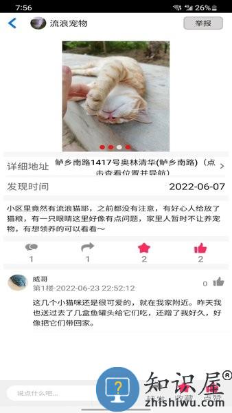 流浪宠物 v1.2 安卓版