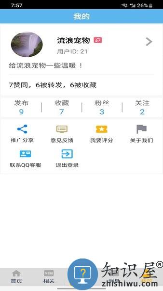 流浪宠物 v1.2 安卓版