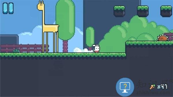 兔子来了最新版下载v1.49.6 安卓版