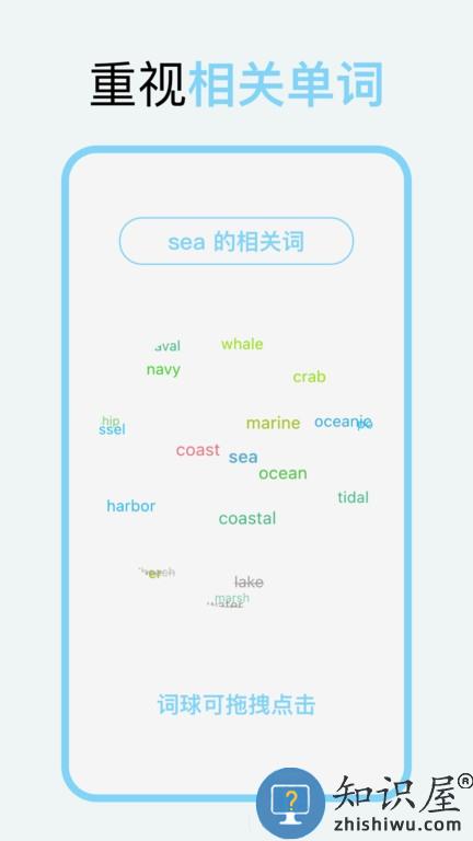 向量单词 v1.2.2 安卓版