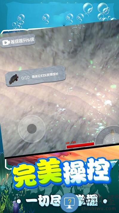 鲨鱼进化模拟器免费下载安装手机版