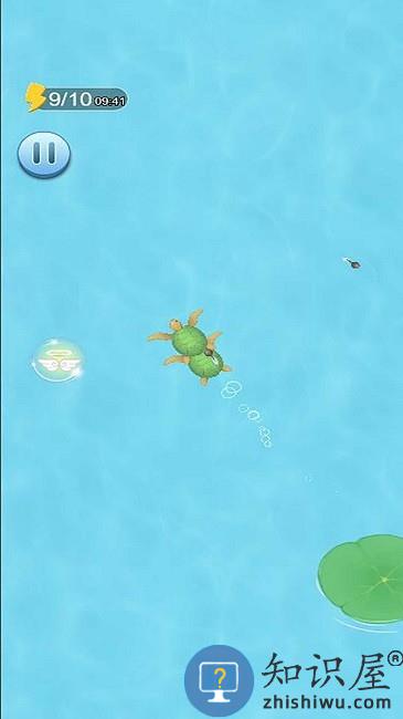 蝌蚪吞王八最新版下载v1.0 安卓版