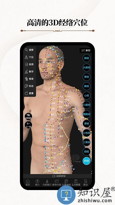 中医经络腧穴app(改名针灸大师)下载v3.2.1 安卓版