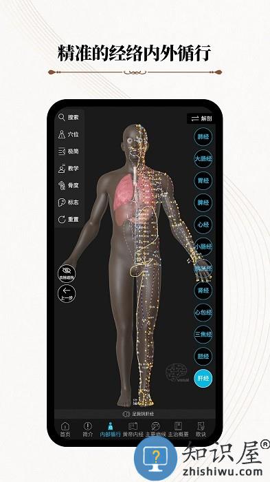 中医经络腧穴app(改名针灸大师)下载v3.2.1 安卓版
