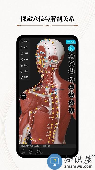 中医经络腧穴app(改名针灸大师)下载v3.2.1 安卓版