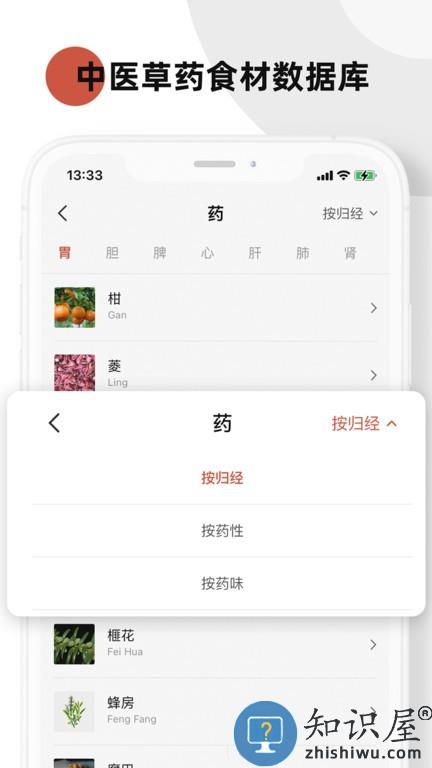 中医方剂查询软件 v1.2 安卓版