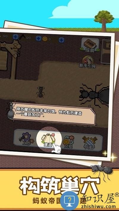 蚂蚁星球官方版下载v1.0 安卓版