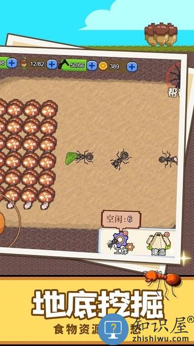 蚂蚁星球官方版下载v1.0 安卓版