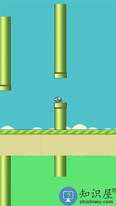 笨鸟努努游戏下载