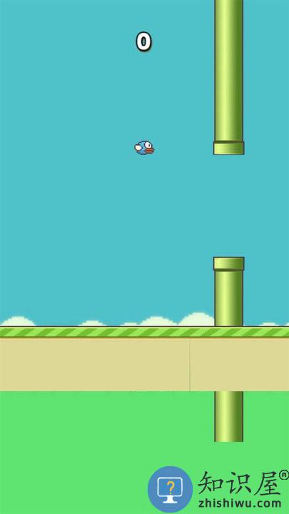 笨鸟努努最新版下载v1.1 安卓版