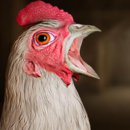 吃鸡吉利挑战游戏下载v1.0 安卓版