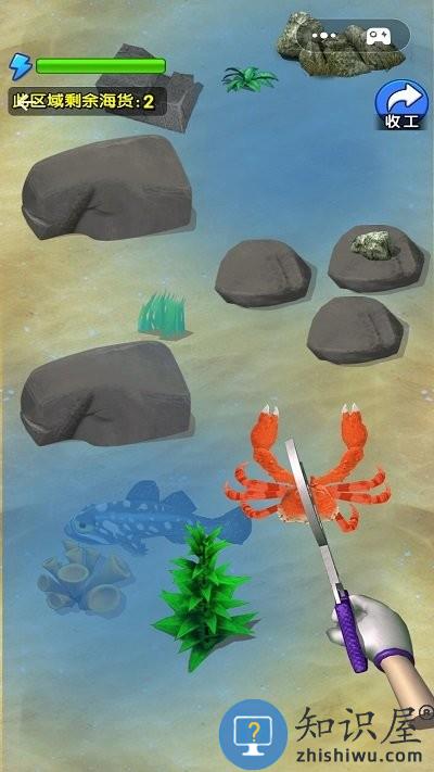 赶海日记游戏下载