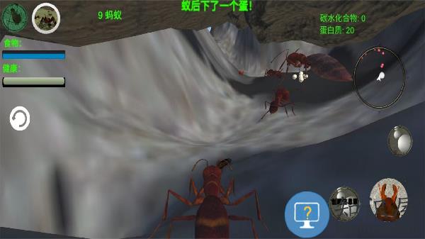 奇妙动物世界探险最新版下载v1.0 安卓版