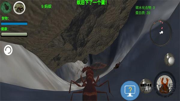 奇妙动物世界探险最新版下载v1.0 安卓版