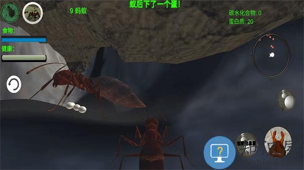 奇妙动物世界探险最新版下载v1.0 安卓版