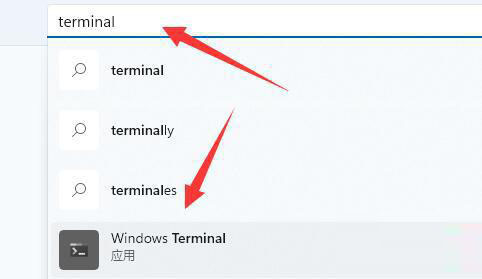 win11找不到wt.exe文件怎么办？win11没有wt.exe文件解决方法