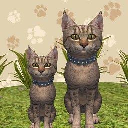 萌宠生存记最新版下载v1.0.0 安卓版