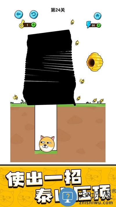 我的狗狗最新版下载v1.0.8.6 安卓版