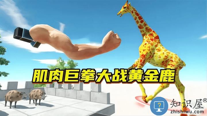 动物穿过最新版下载v1.0 安卓版