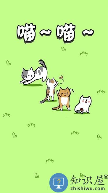 肥肥猫爱消除游戏下载v1.0 安卓版