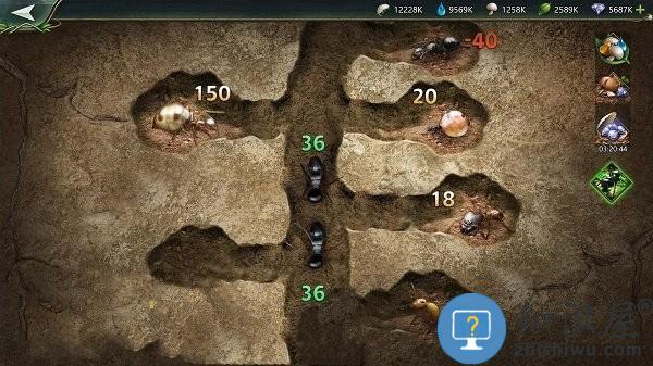 小小蚁窝手机版下载