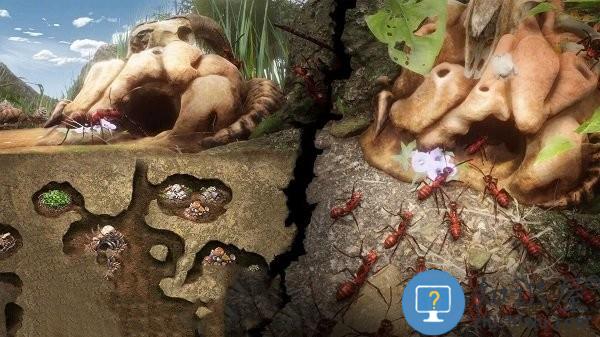 小小蚁窝游戏下载v1.5 安卓版