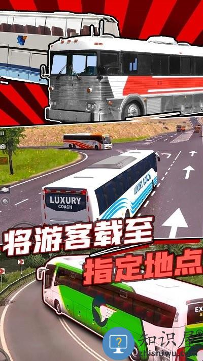 专业巴士模拟器2020手机版下载v1.0 安卓版