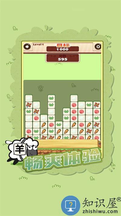 脑力突击大比拼游戏下载