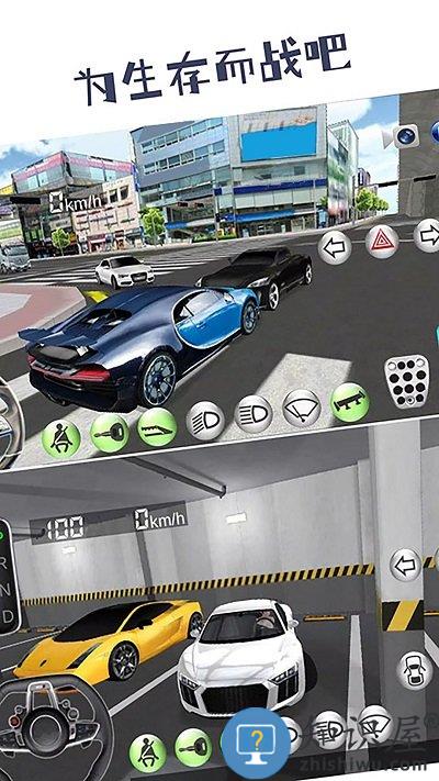 模拟驾驶高手手机版下载v1.0.9 安卓版