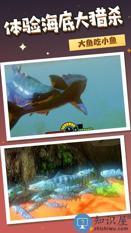 海洋猎杀进化游戏下载