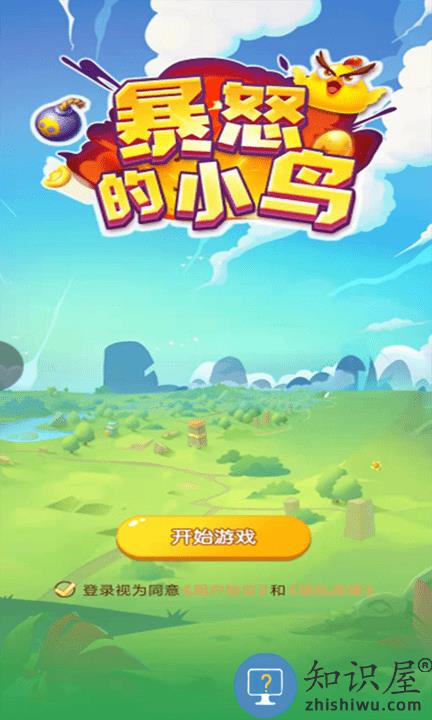  暴怒的小鸟手游下载