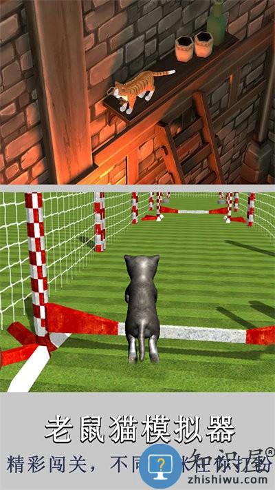 老鼠猫模拟器游戏下载v1.0 安卓版