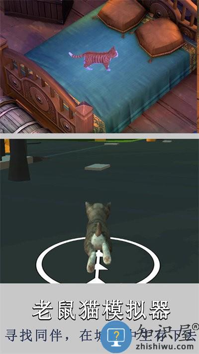 老鼠猫模拟器游戏下载v1.0 安卓版